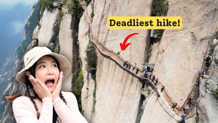 Narrow wooden planks along cliff face on Huashan Mountain's dangerous plank walk trail in China.
